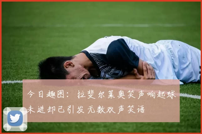 今日趣图：拉斐尔莱奥笑声响起球未进却已引发无数欢声笑语