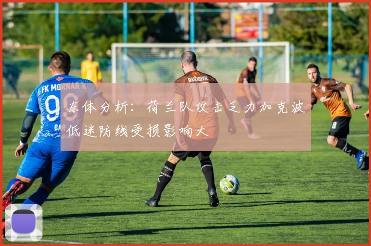 东体分析：荷兰队攻击乏力加克波低迷防线受损影响大